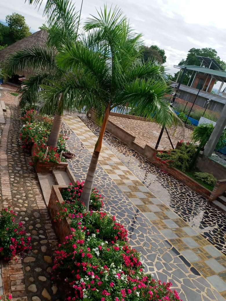 quinta