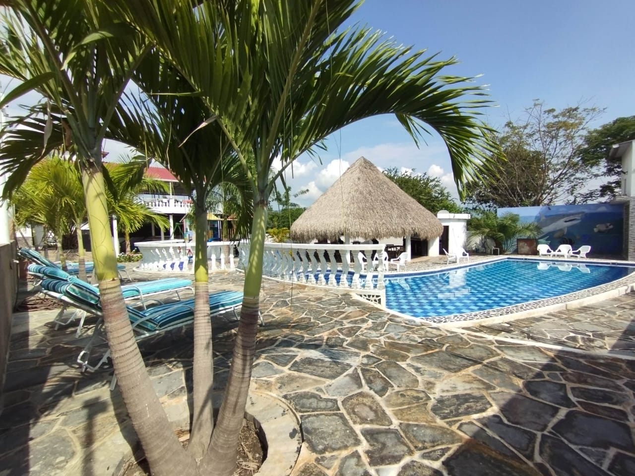 quinta